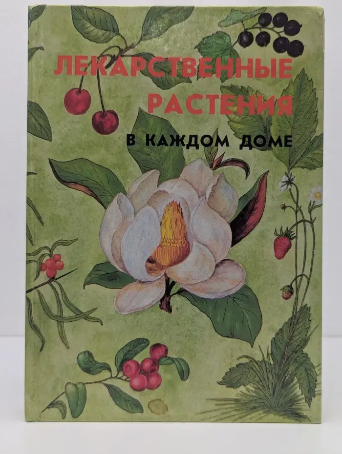 Лекарственные растения в каждом доме