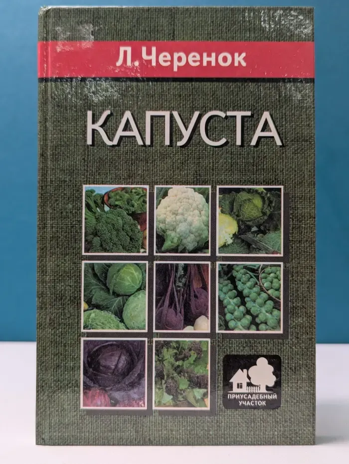Приусадебный участок. Капуста