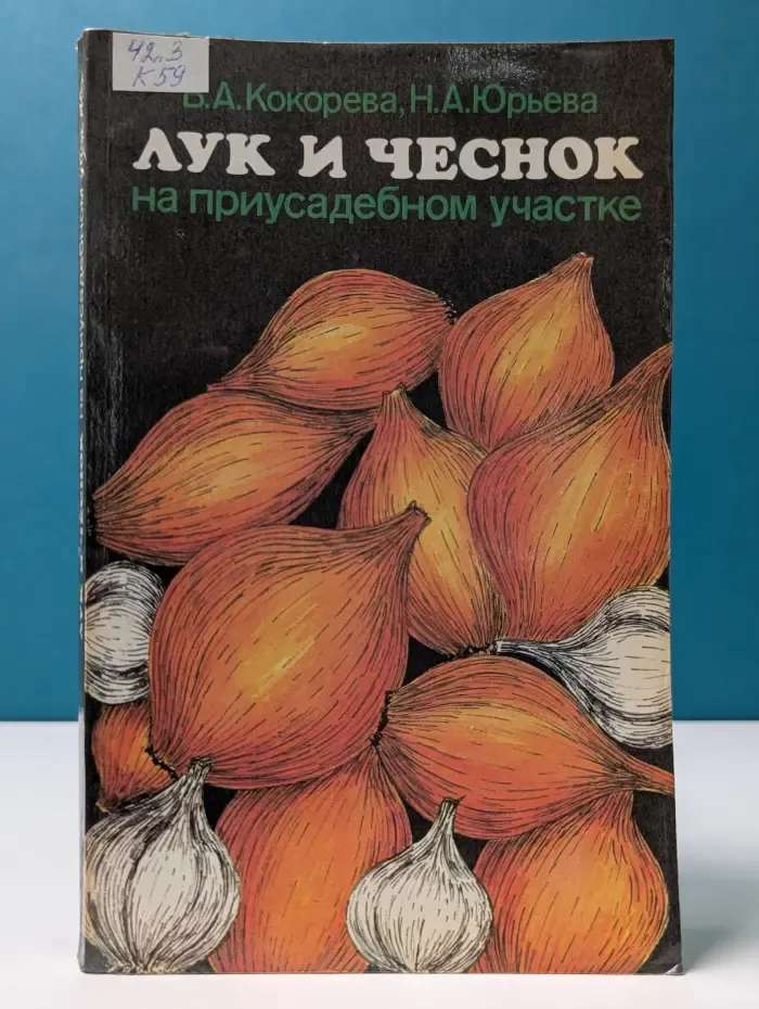 Лук и чеснок на приусадебном участке