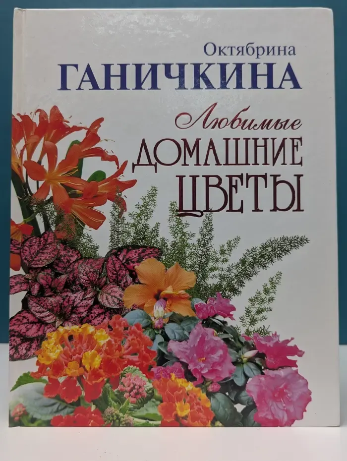 Любимые домашние цветы