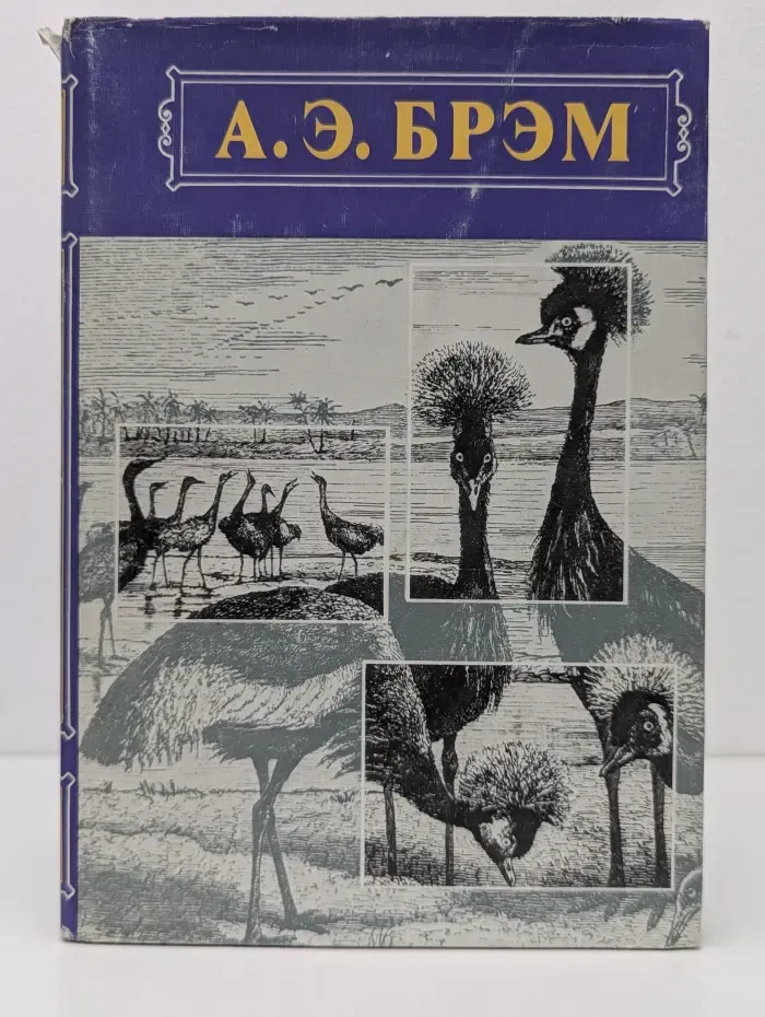 А. Э. Брэм. Жизнь животных. В 3 томах. Том 2. Птицы
