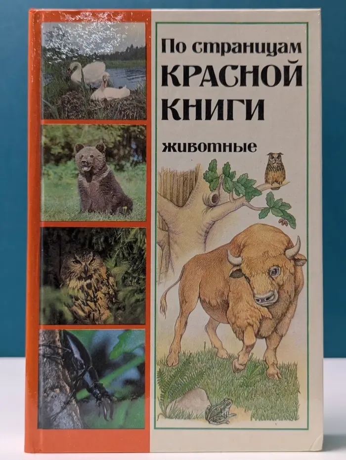 По страницам Красной книги. Животные
