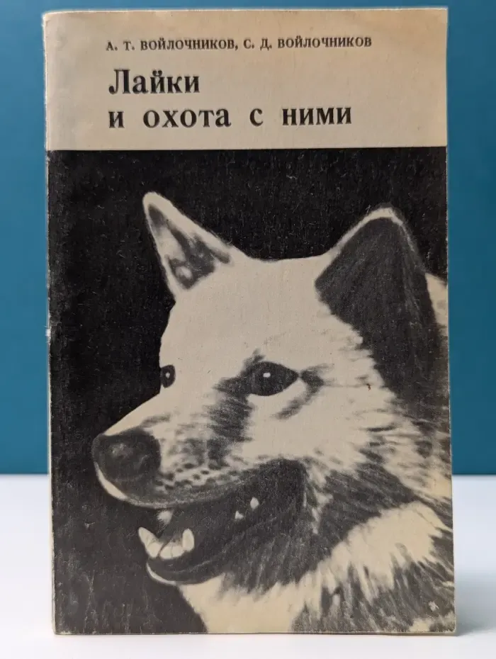 Лайки и охота с ними