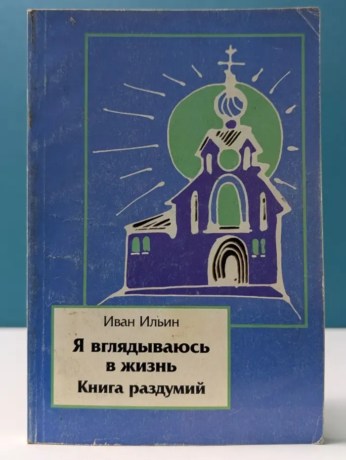 Испытание мудростью. Я вглядываюсь в жизнь. Книга раздумий