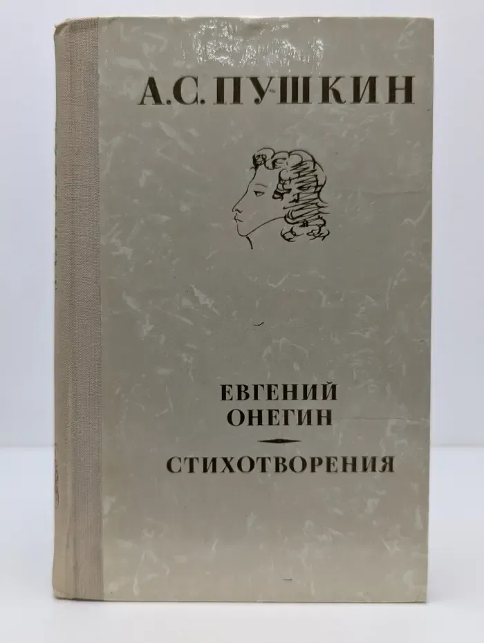 Школьная библиотека. Евгений Онегин. Стихотворения