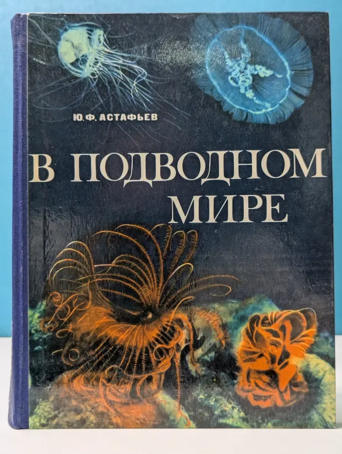 В подводном мире