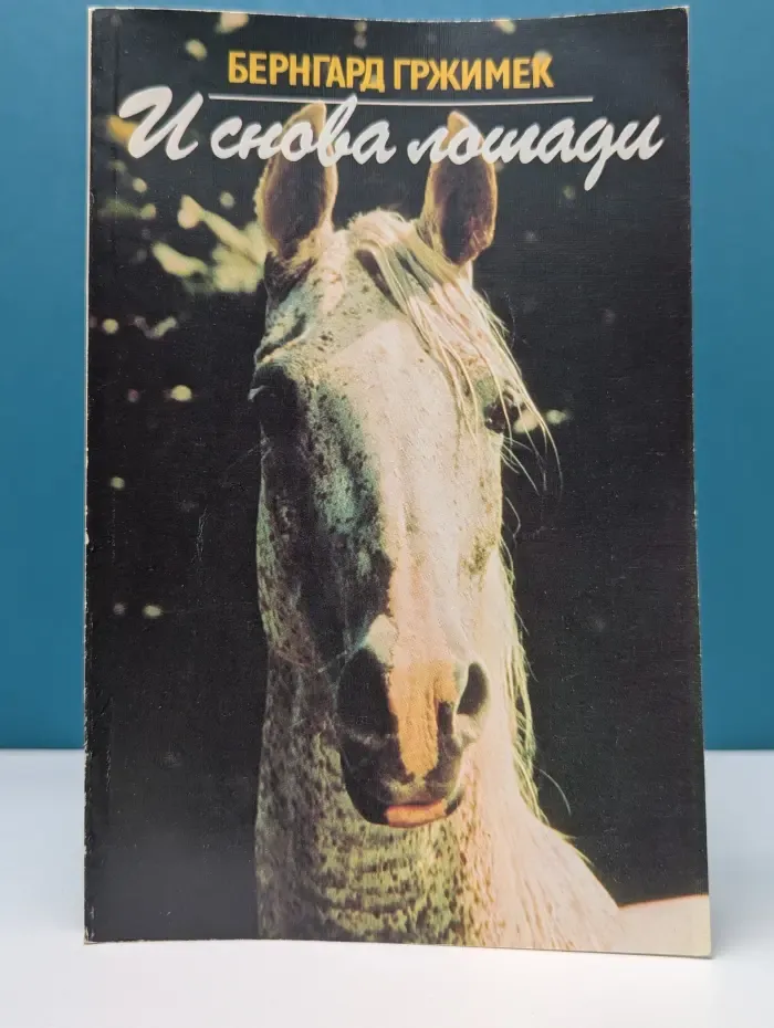 И снова лошади