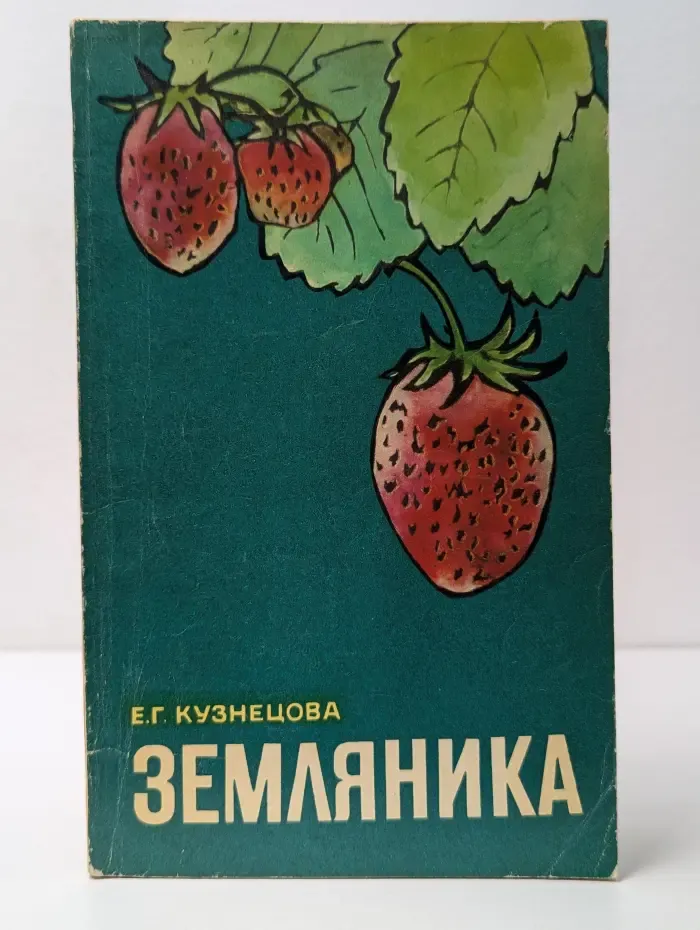 Земляника