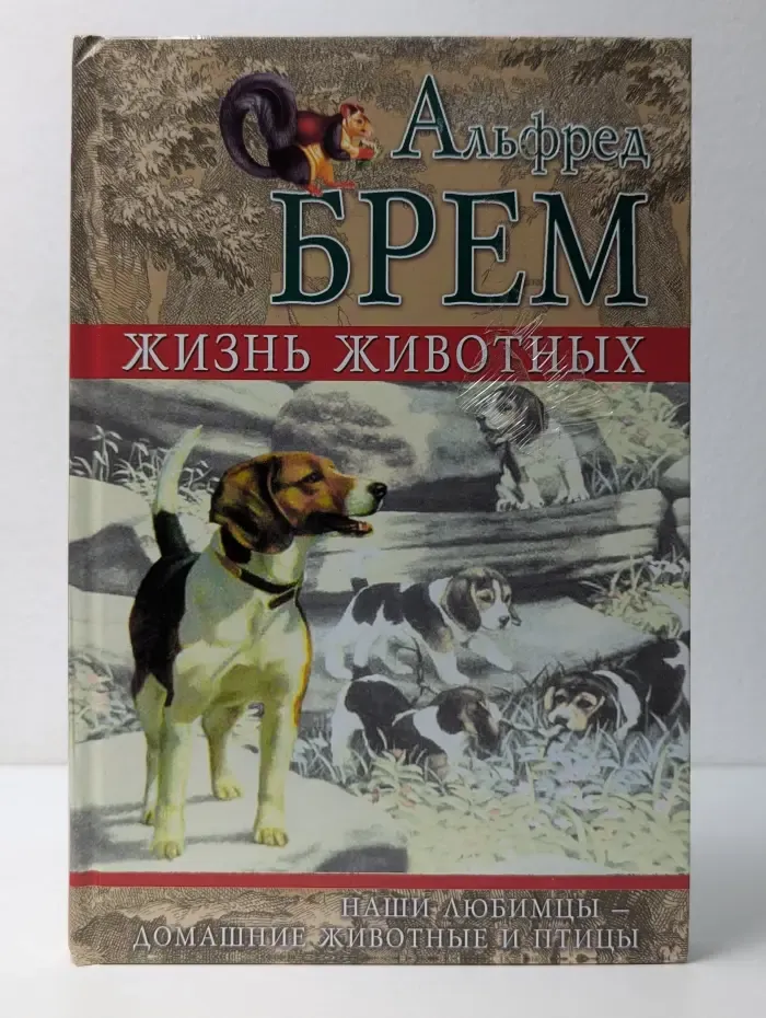 Жизнь животных. Наши любимцы-домашние животные и птицы