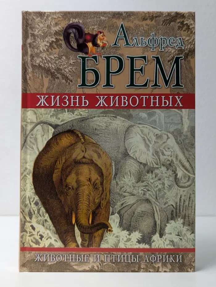Жизнь животных. Животные и птицы Африки