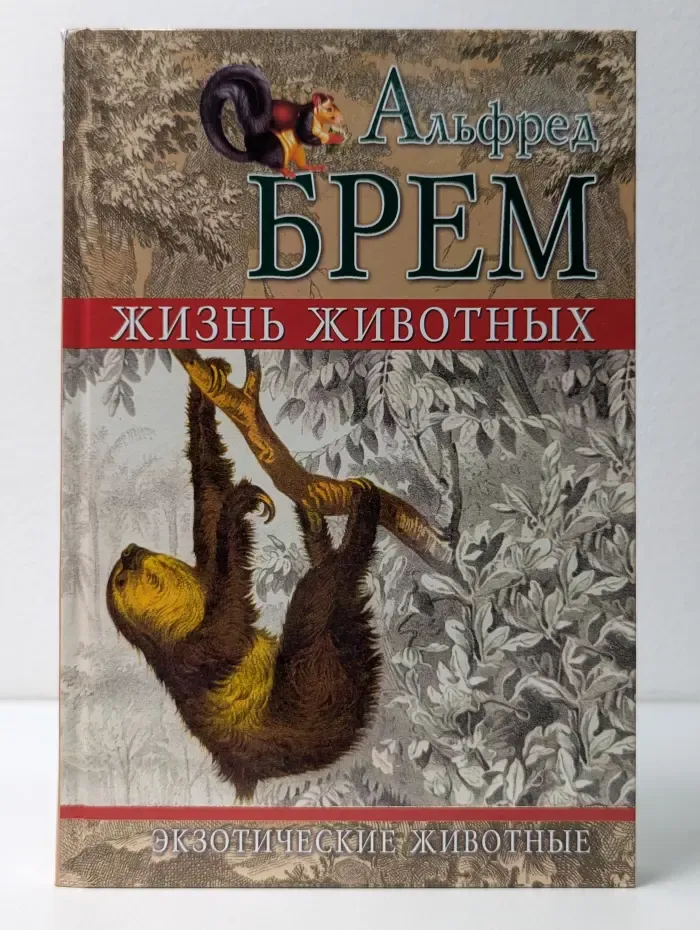 Жизнь животных. Экзотические животные