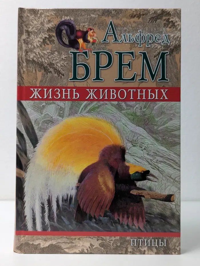 Жизнь животных. Том 2. Птицы