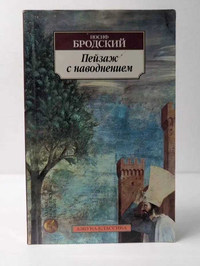 Пейзаж с наводнением