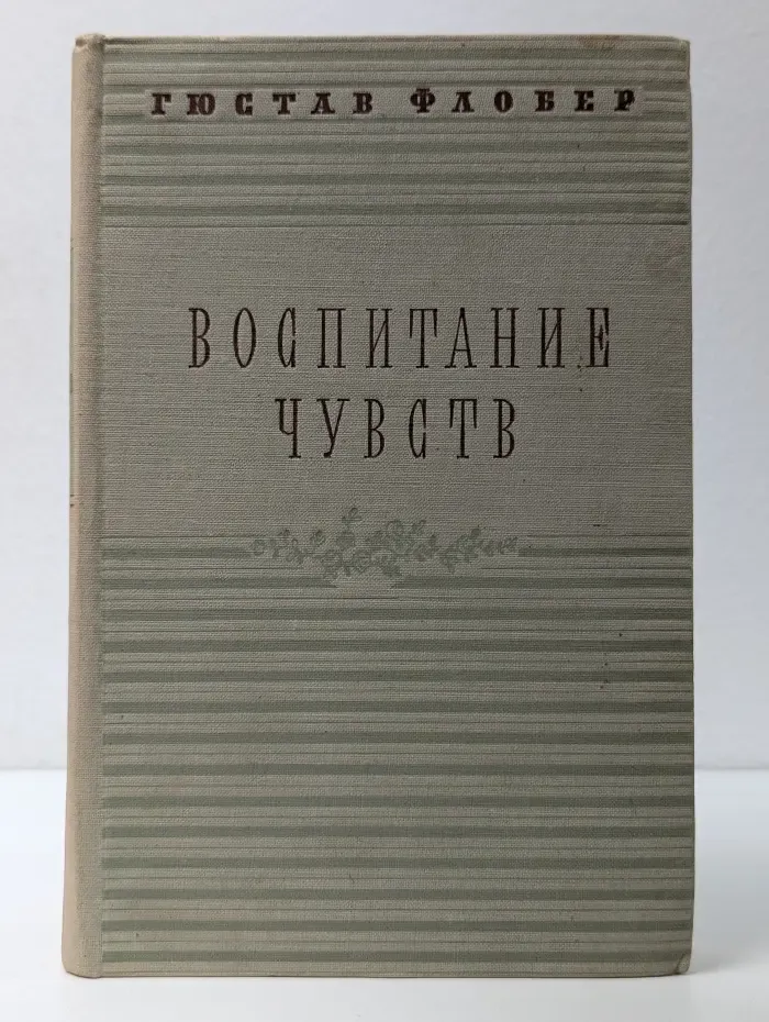Воспитание чувств. История одного молодого человека