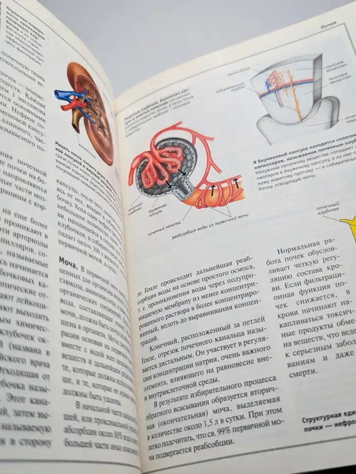 Большая Иллюстрированная энциклопедия. Том 22