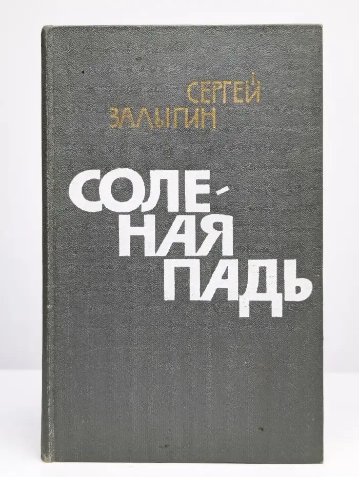 Соленая падь