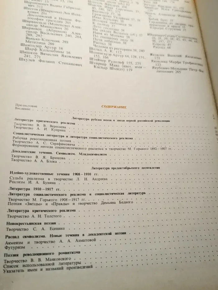 История русской литературы конца XIX - начала XX века