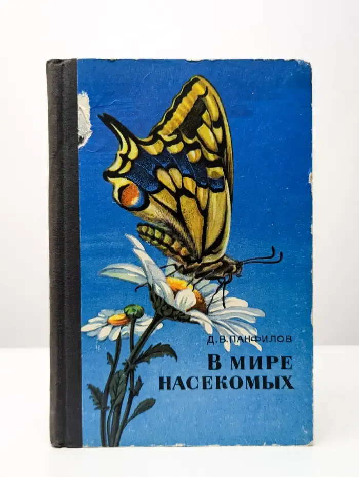В мире насекомых