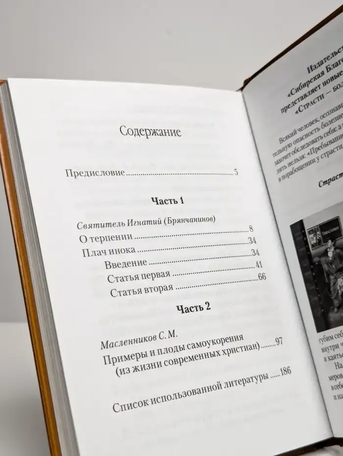 Самоукорение и терпение. Христианские добродетели