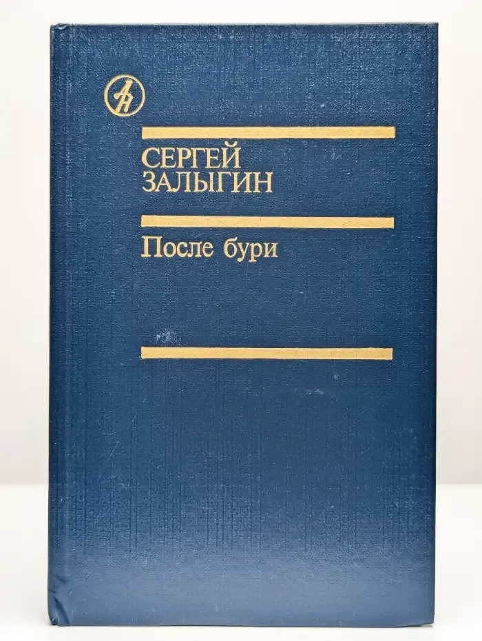 После бури. Книга первая