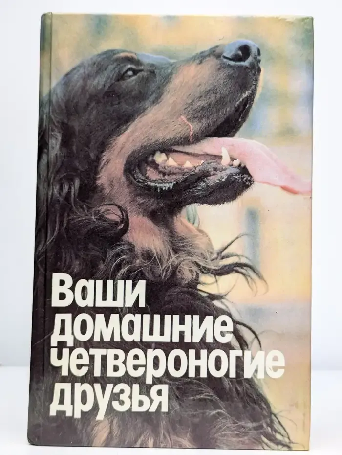 Ваши домашние четвероногие друзья