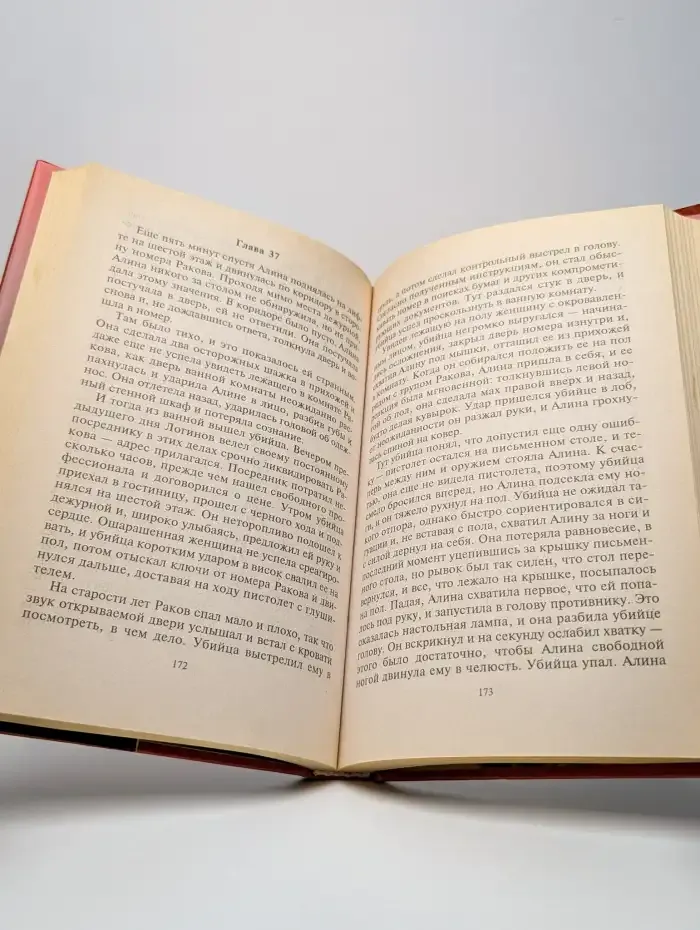 Чистильщик