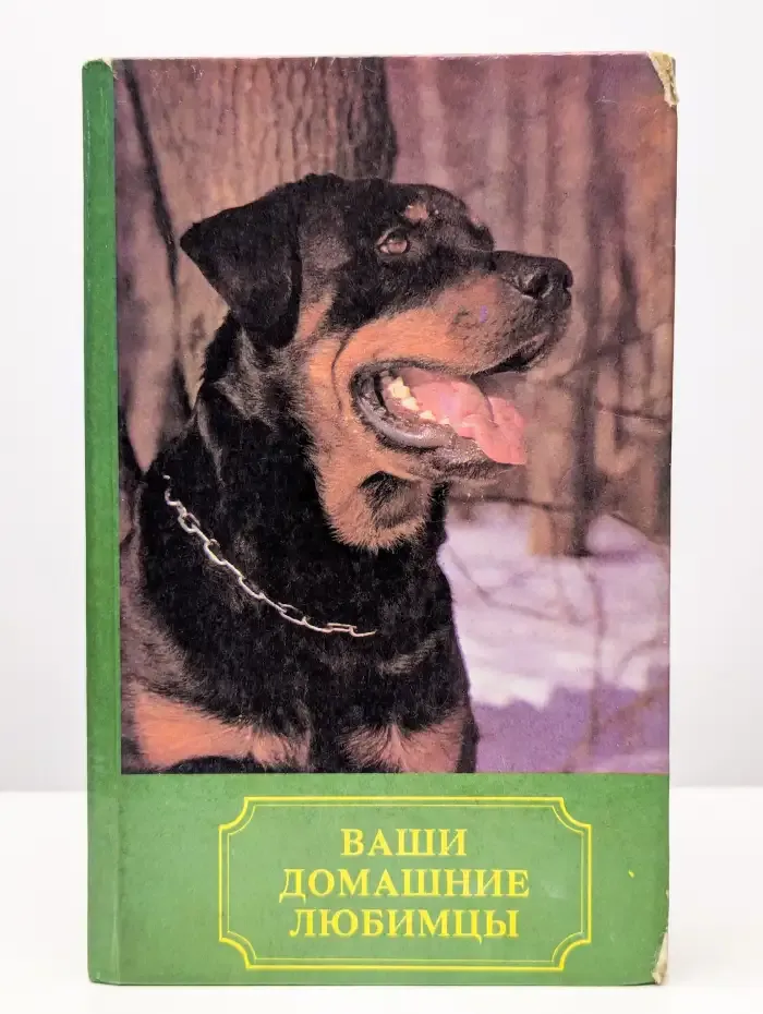 Ваши домашние любимцы