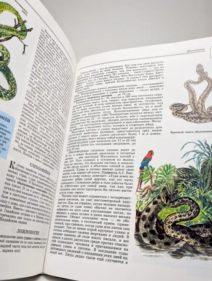 Энциклопедия для детей. Том 2. Биология