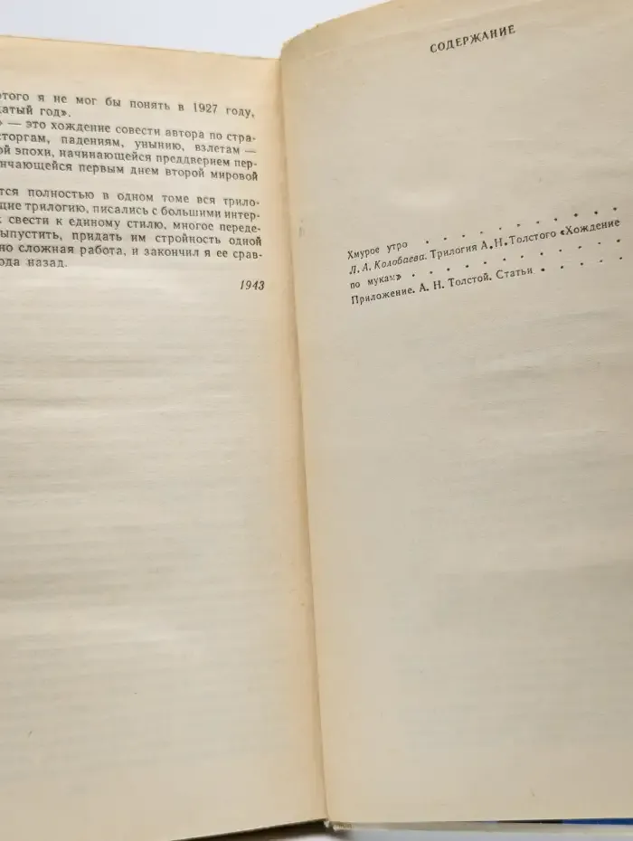 Хождение по мукам. В двух томах. Том 2. Книга 3. Хмурое утро