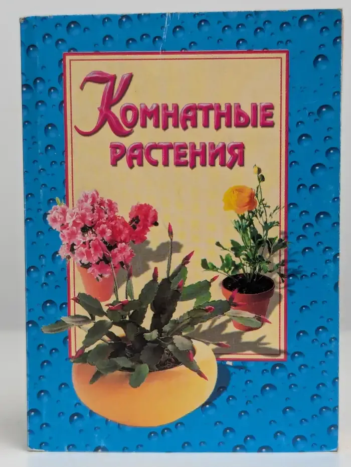 Комнатные растения