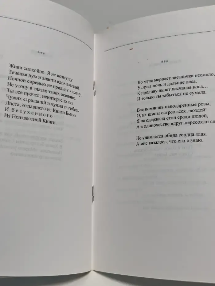Неземное кольцо. Стихотворения
