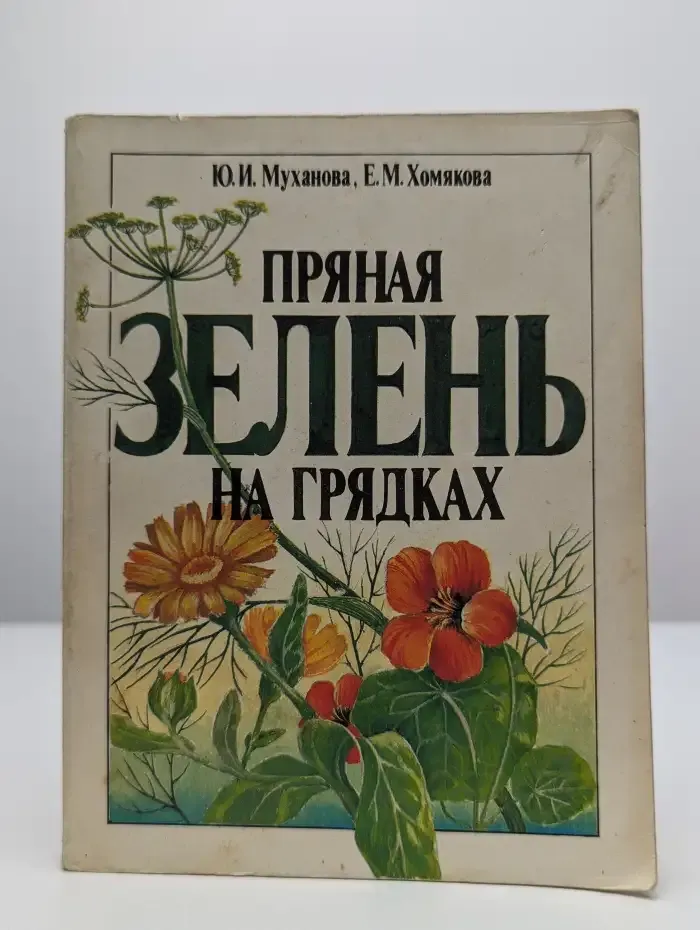 Пряная зелень на грядках