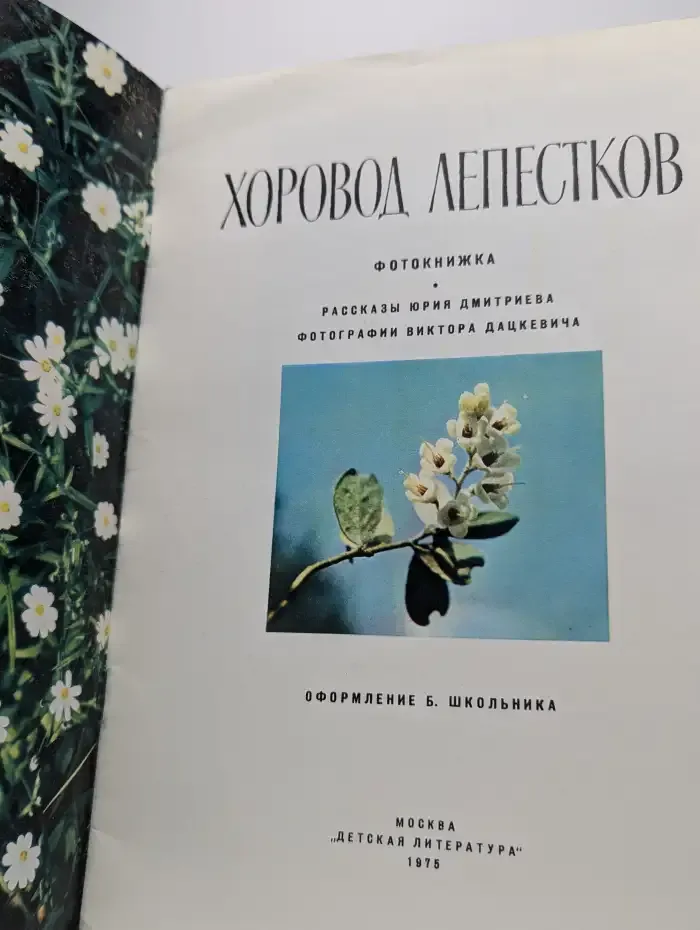 Хоровод лепестков