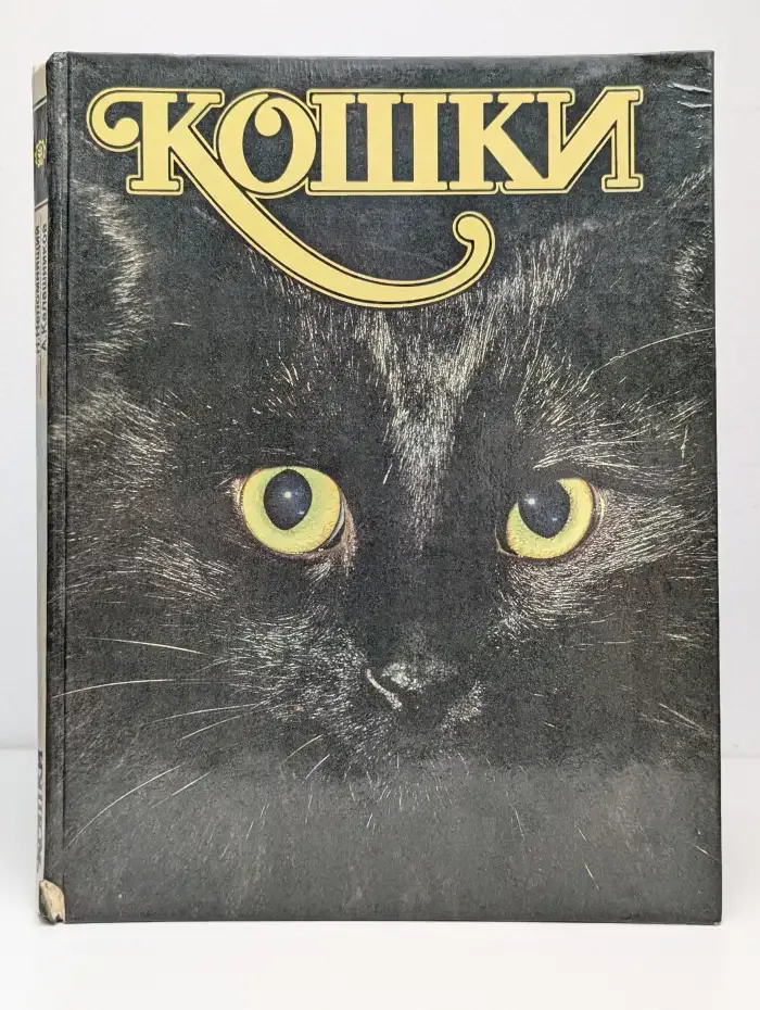 Кошки