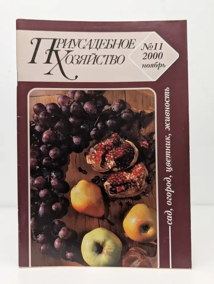 Журнал "Приусадебное хозяйство". № 11, 2000