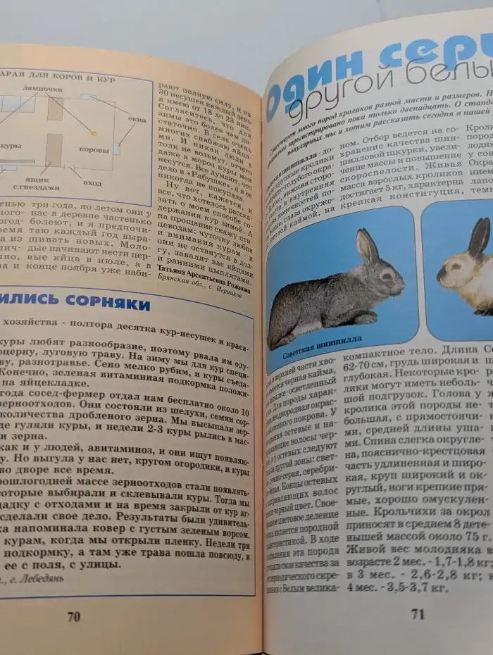 Приусадебное хозяйство №10, 2002