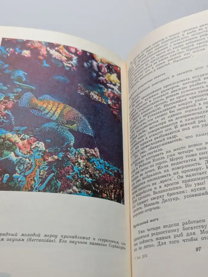 Жизнь и смерть кораллов