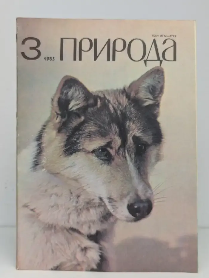 Природа №3, 1985