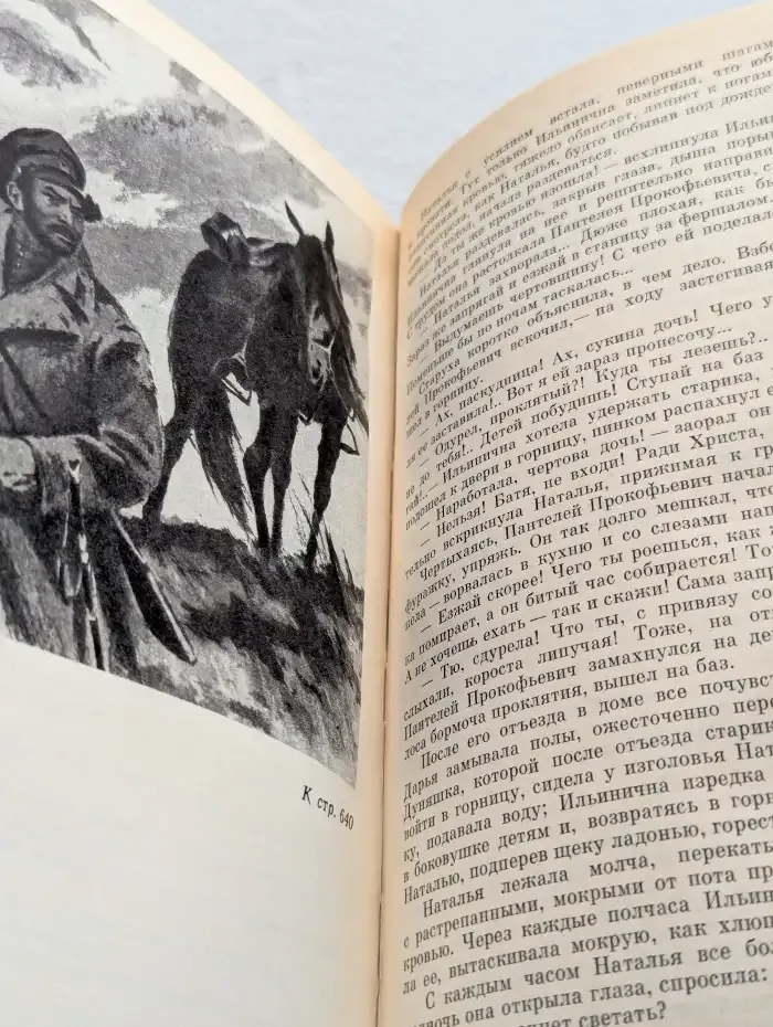 Тихий Дон. Книги 3 и 4