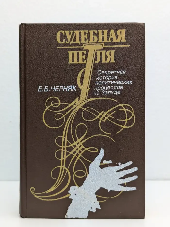 Судебная петля