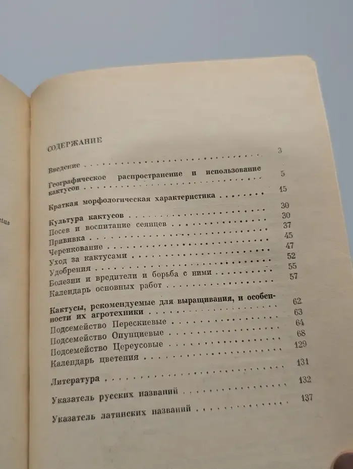В мире кактусов