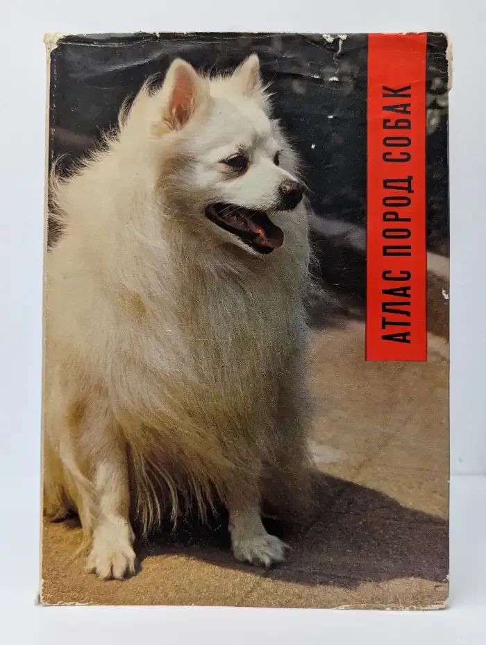 Атлас пород собак