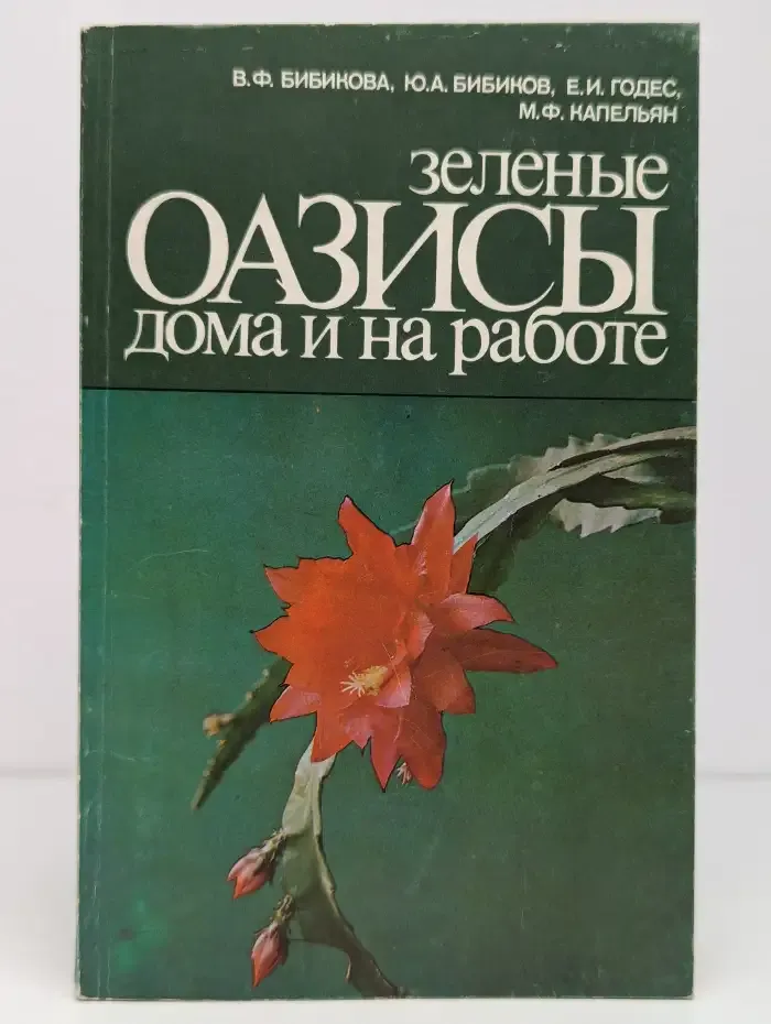 Зеленые оазисы дома и на работе