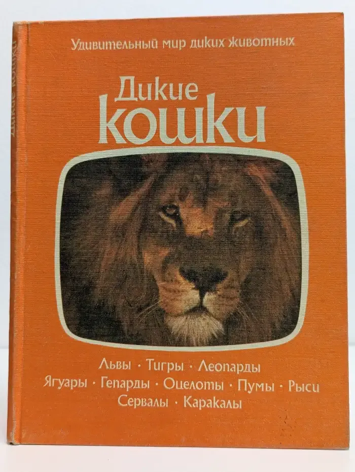 Дикие кошки