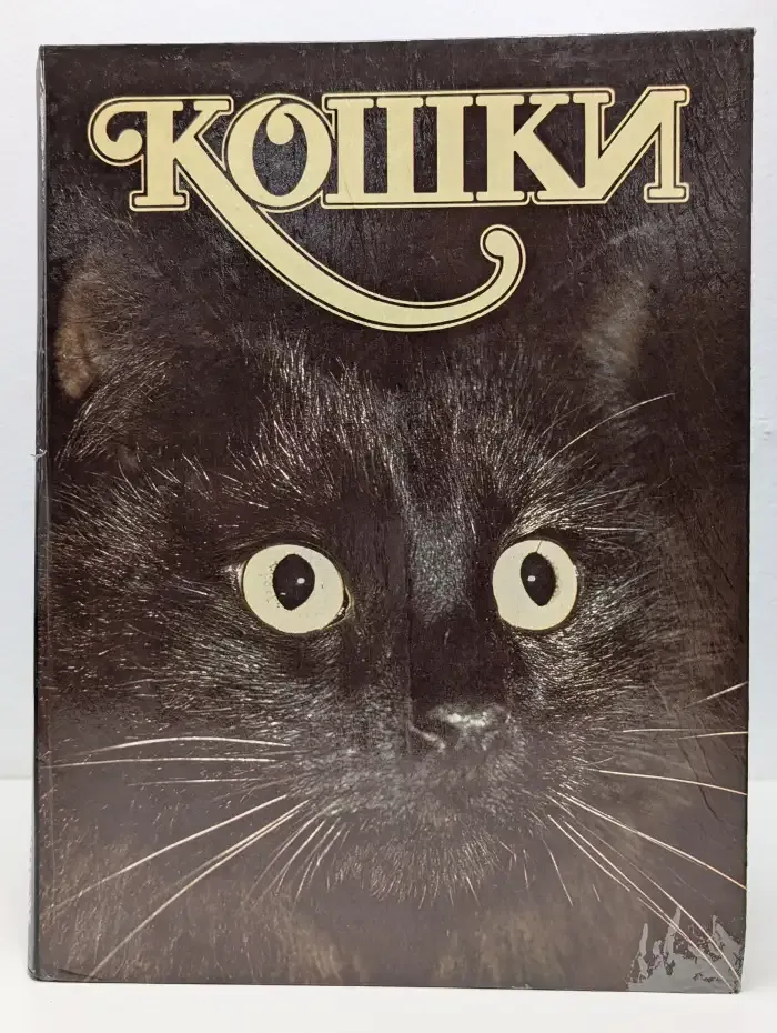 Кошки