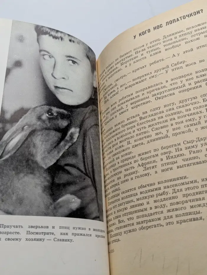 Зоопарк дома