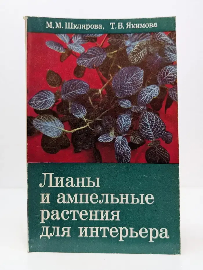 Лианы и ампельные растения для интерьера