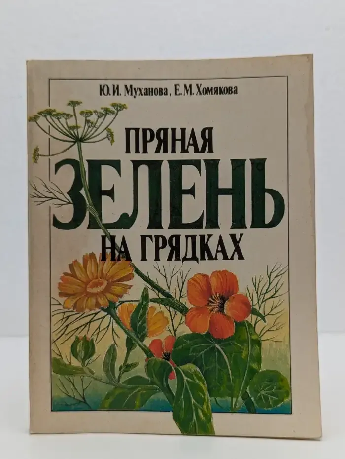 Пряная зелень на грядках