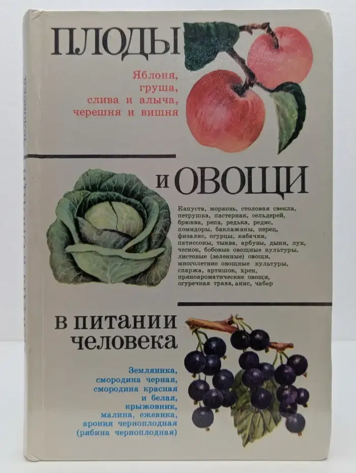 Плоды и овощи в питании человека