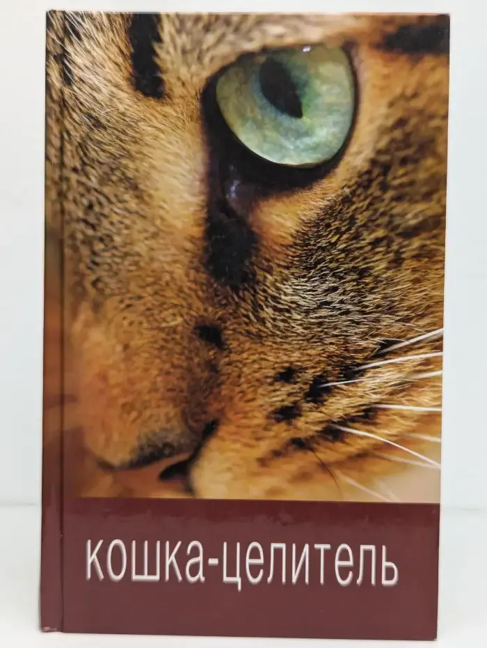 Кошка-целитель
